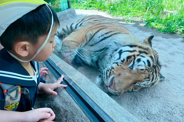 動物園遠足の様子